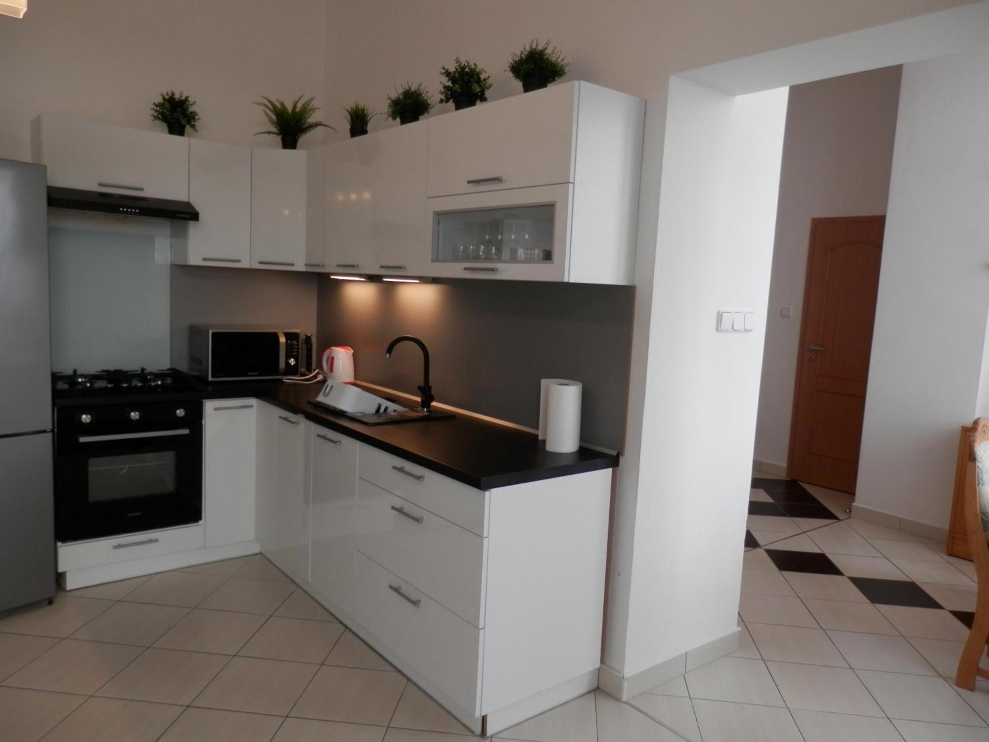 Spacious Apartment Below Spilberk Castle Брно Экстерьер фото
